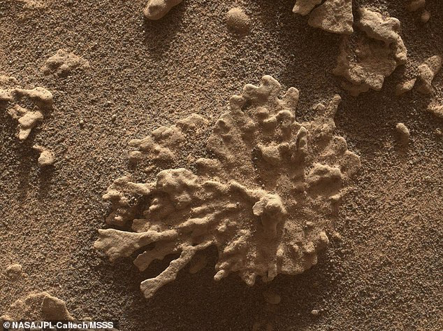 NASA's Curiosity Rover