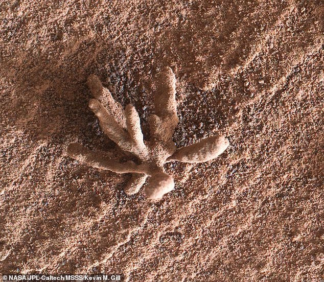 NASA's Curiosity Rover