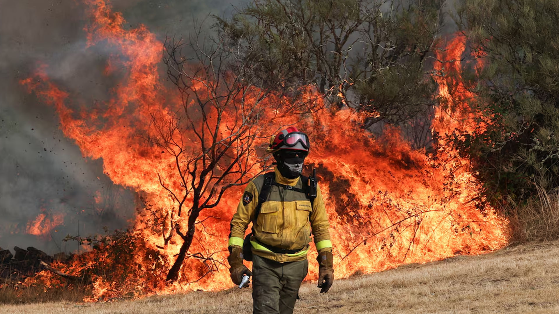 Wildfires scorch Greece as heatwave grips parts of Europe 