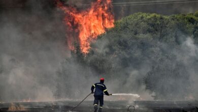 Wildfires scorch Greece as heatwave grips parts of Europe | Climate Crisis News
