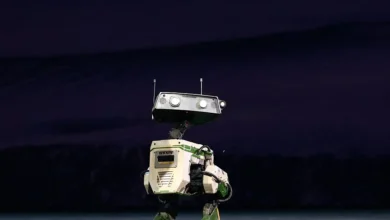 NVIDIA