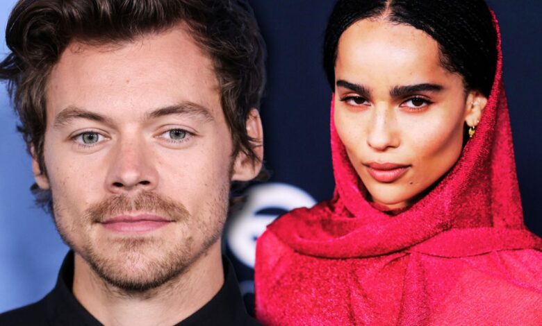 Zoë Kravitz and Harry Styles Spark Dating Speculation After Stroll in Rome