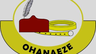 Ohanaeze splits as faction backs Tinubu's re-election