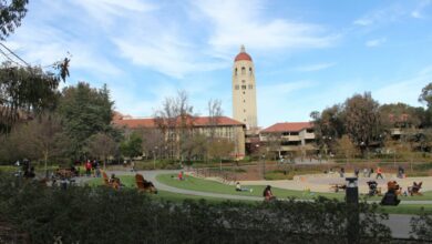 Stanford University lays off 363 employees