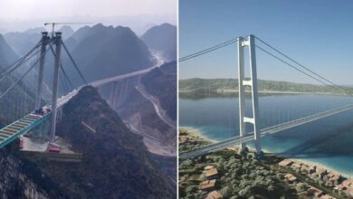 Italy and China Unveil Record-Breaking