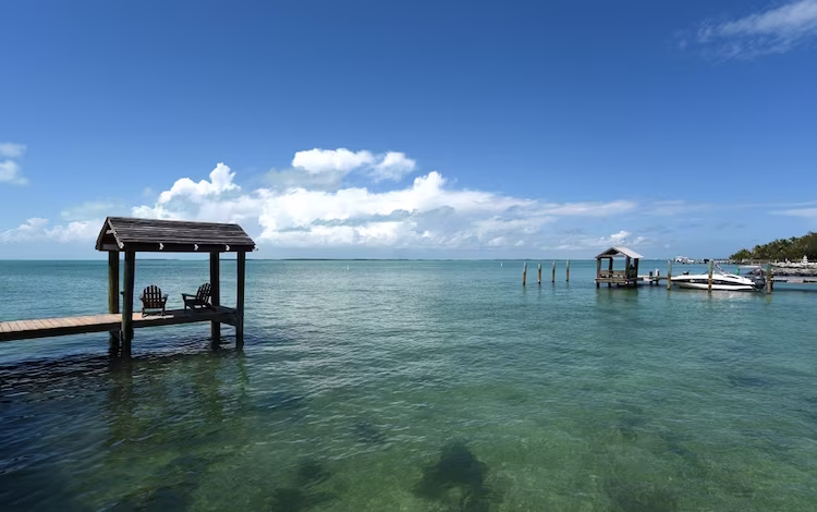 Shark Attack Injures 8-Year-Old Boy in Florida Keys